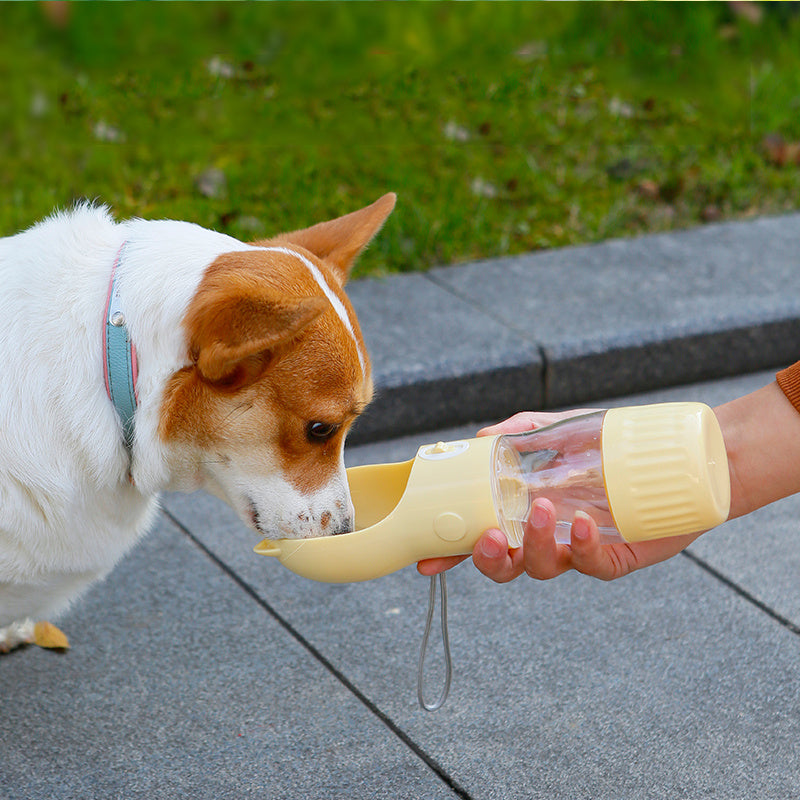 2 in 1 Portable Traveling Out Dog Water Bottle - The Nice Guy Shop