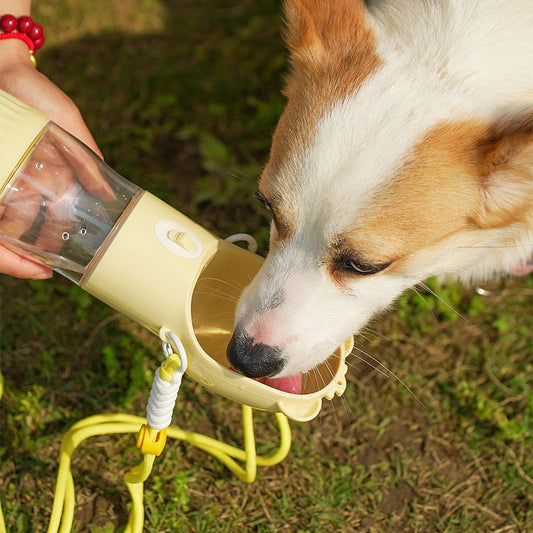 2 in 1 Portable Traveling Out Dog Water Bottle - The Nice Guy Shop