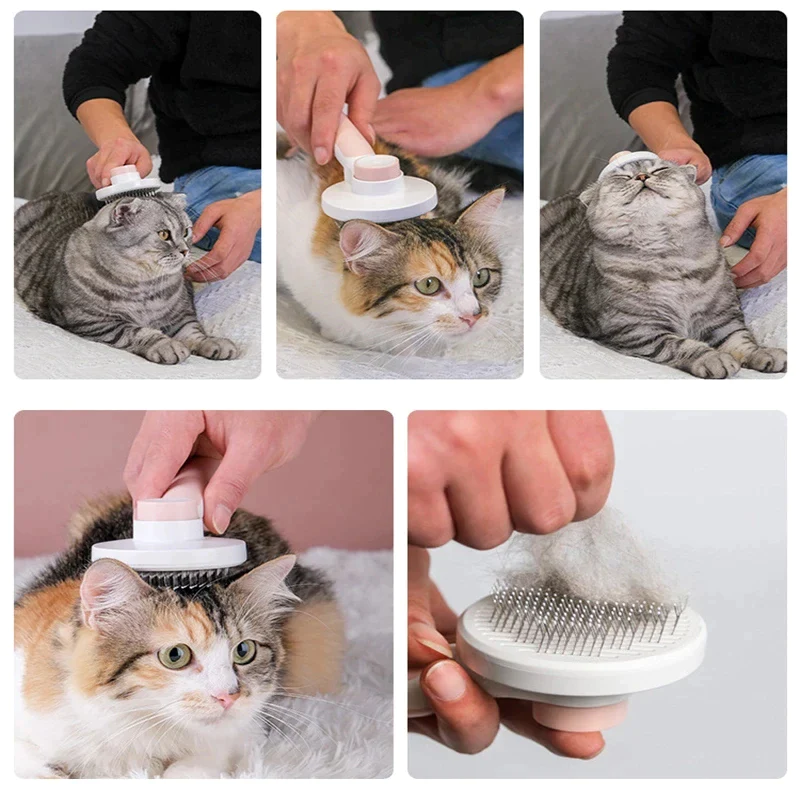 Pet Pumpkin Cat Hair Remover Brush Comb - The Nice Guy Shop