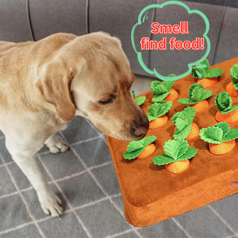 Pet Vegetable Carrot Plush Sniff Pet Toy